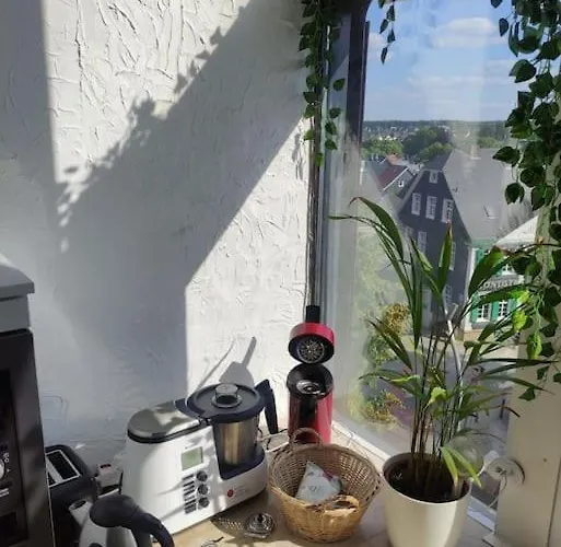 Aussicht Auf Altstadt Lennep Apartment *